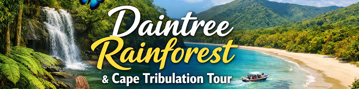 Daintree Rainforest Tour